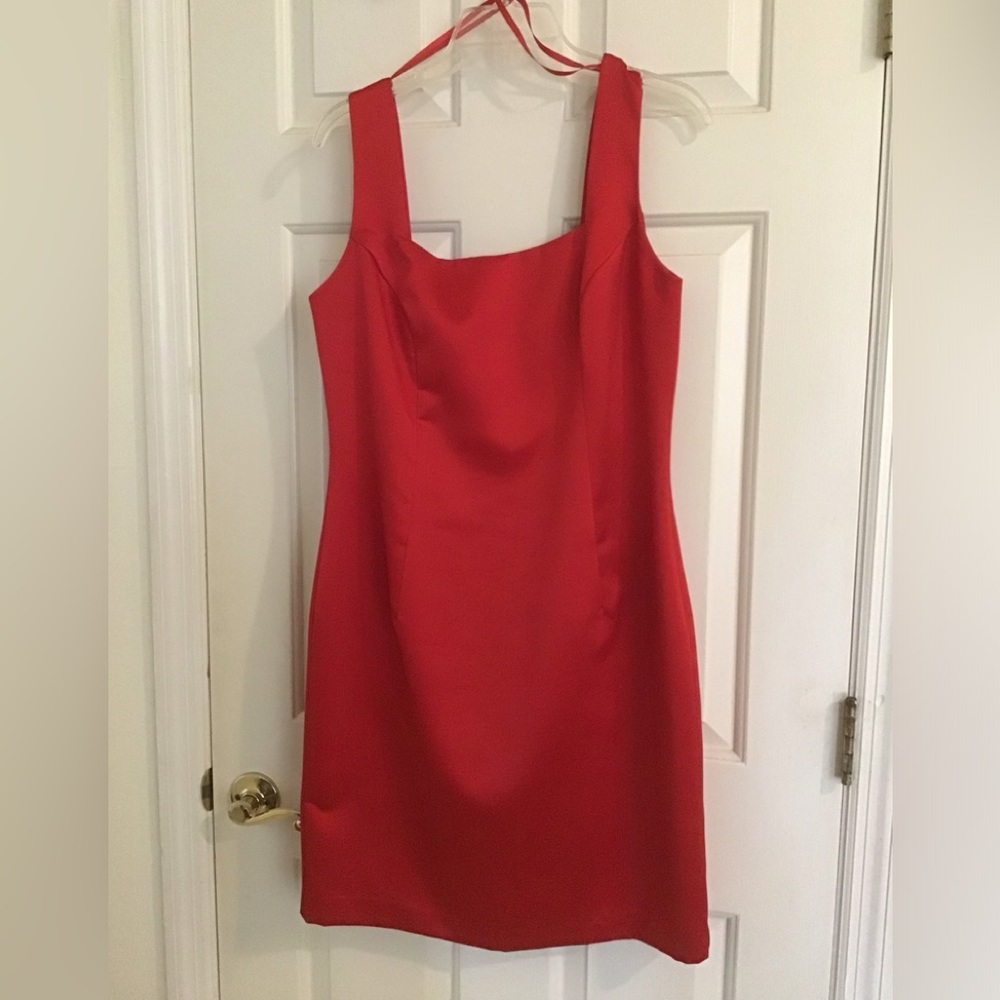 Ever Beauty vintage dress